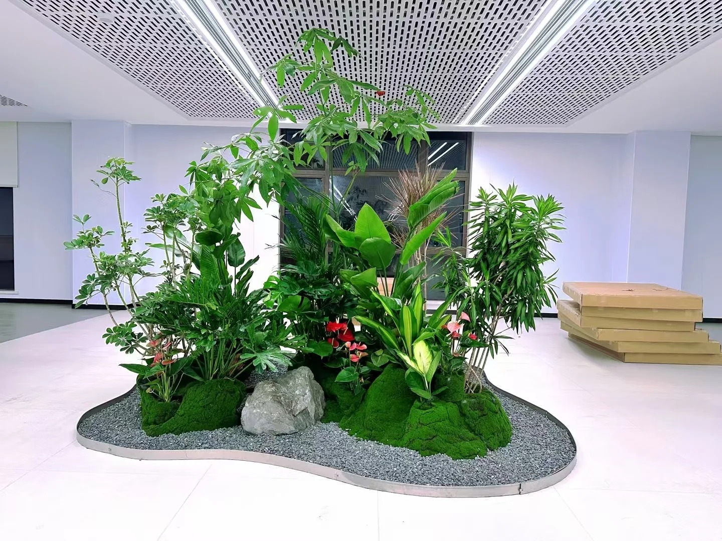 专业花木出租,宁波鄞州打造缤纷绿植空间