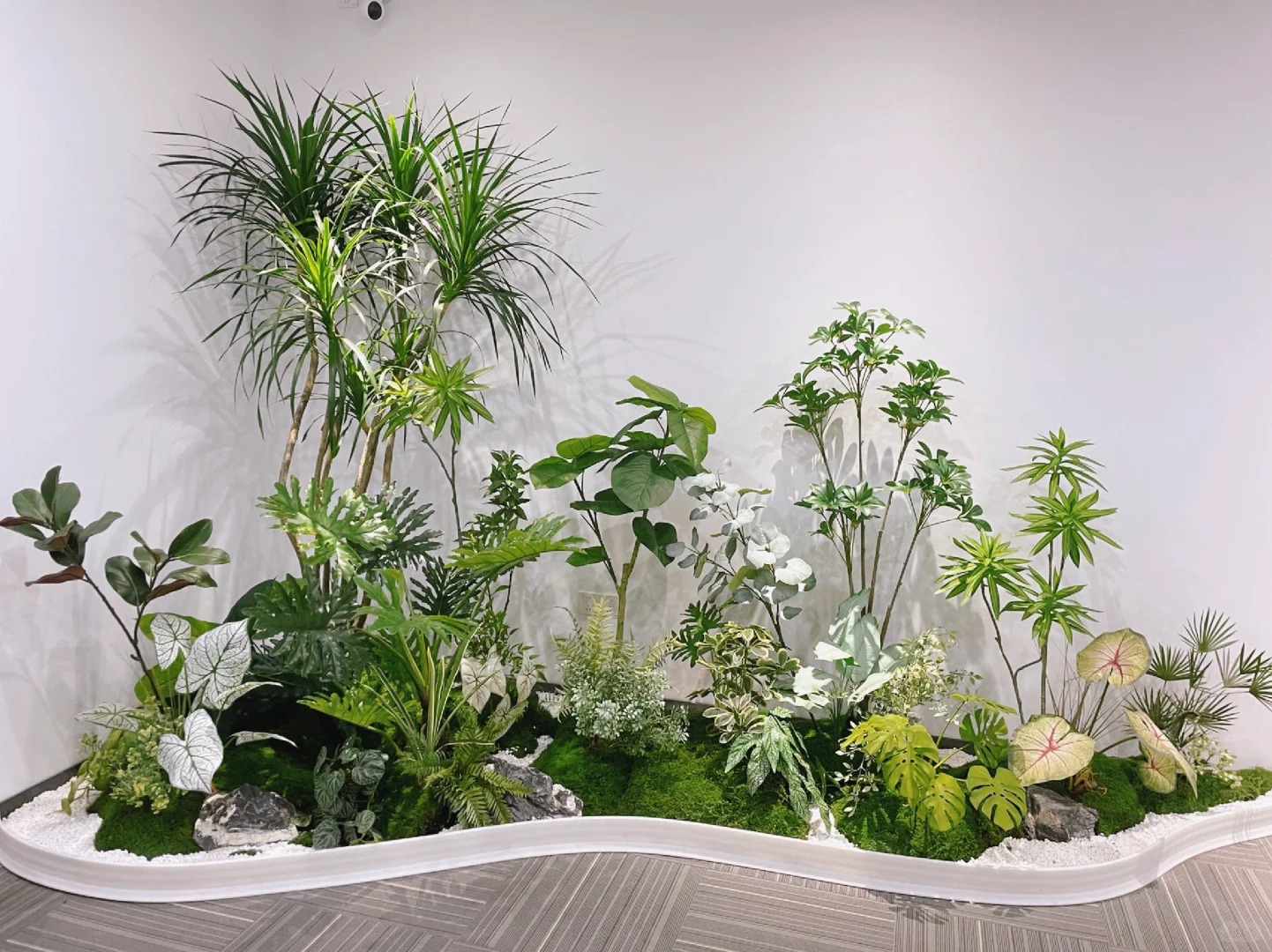 专业花木出租,宁波鄞州打造缤纷绿植空间